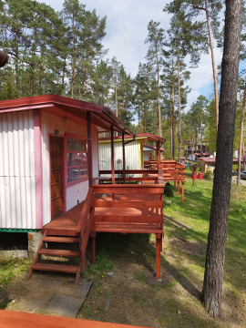 Ma�a Szarlota u Doroty