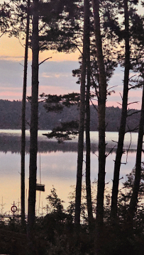 Ma�a Szarlota u Doroty