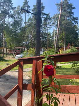 Ma�a Szarlota u Doroty