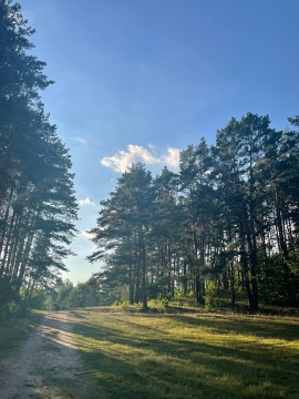 Ma�a Szarlota u Doroty