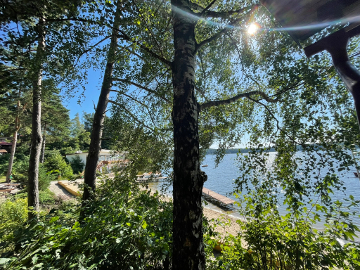 Ma�a Szarlota u Doroty