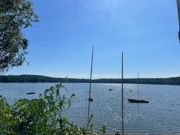 Ma�a Szarlota u Doroty